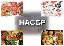 haccp